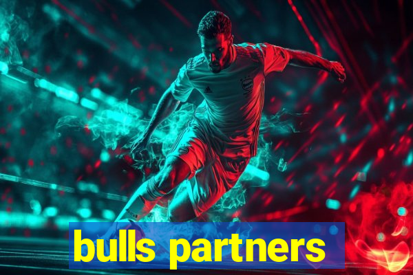 bulls partners